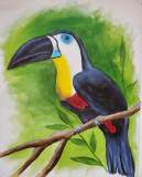 TropicalToucan