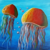 rainbowjellies