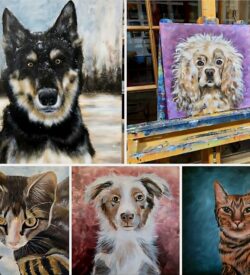 Pet Portrait Commissions